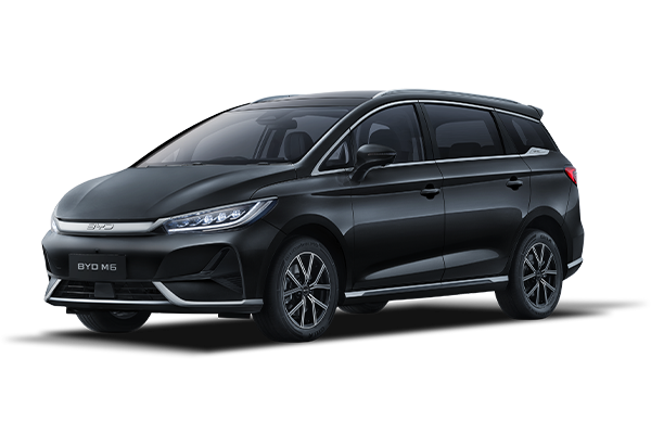 BYD M6